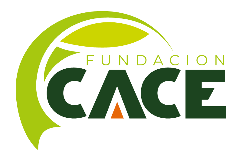 fundacioncace.org